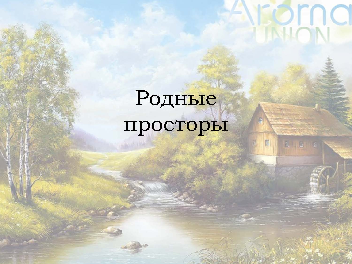 Проект родные просторы